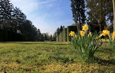 Südfriedhof Wiesbaden Natur